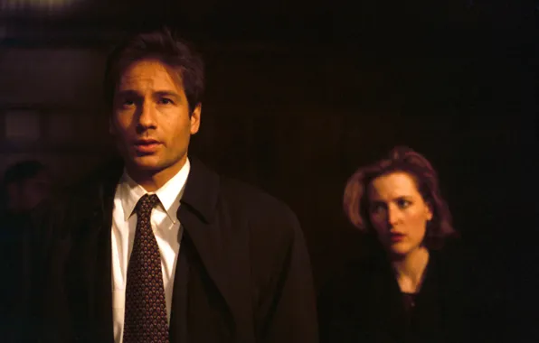 Picture the series, The X-Files, Classified material, given, Mulder