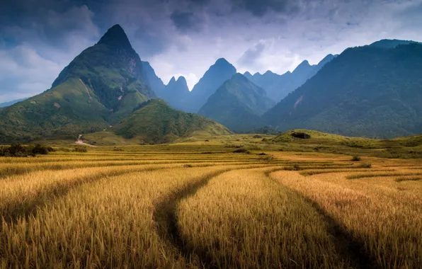 Field, mountains, mountain, Vietnam, province Lao Cai, Fansipan