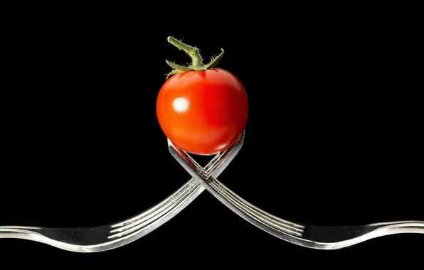 Plug, tomato, Chile, dining room