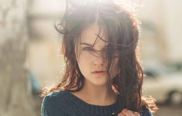 Picture sunlight, sweater, sponge, look, curls
