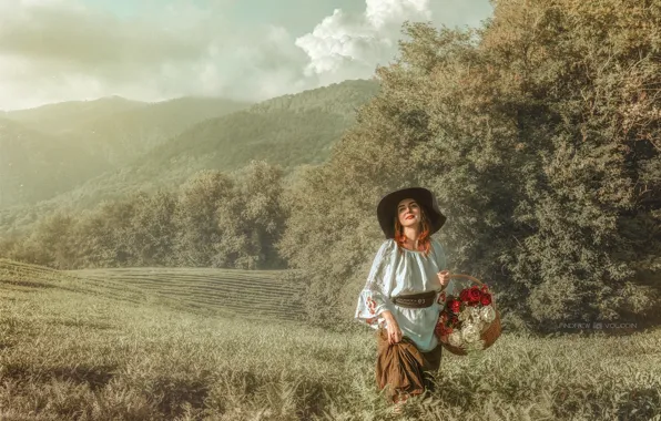 Picture field, look, girl, flowers, nature, hills, basket, Andrey Volodin