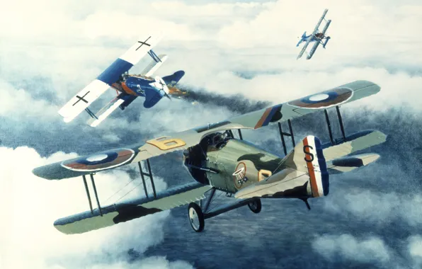 The sky, figure, France, art, aircraft, German, dogfight, WW2