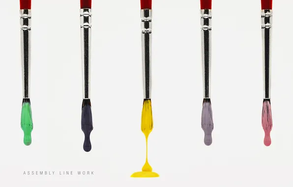 Paint, photographer, brush, photography, photographer, Björn Wunderlich