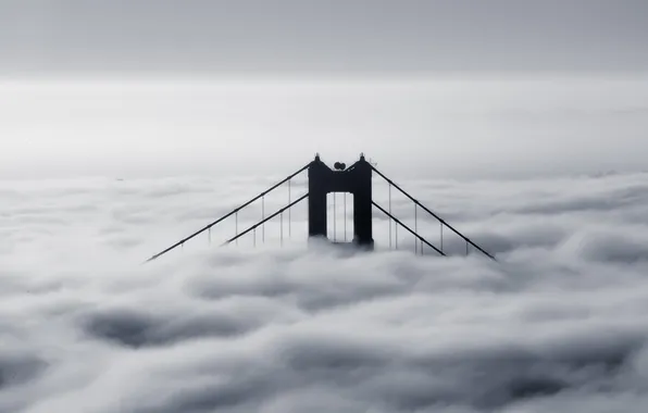 Bridge, fog, photo, black and white