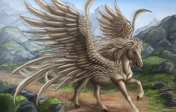 Picture road, rocks, horse, wings, feathers, Pegasus