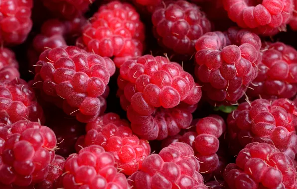 Berries, raspberry, background, background, Raspberry