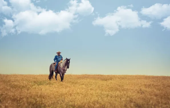 Picture field, the sky, clouds, horse, cowboy, farm, the countryside