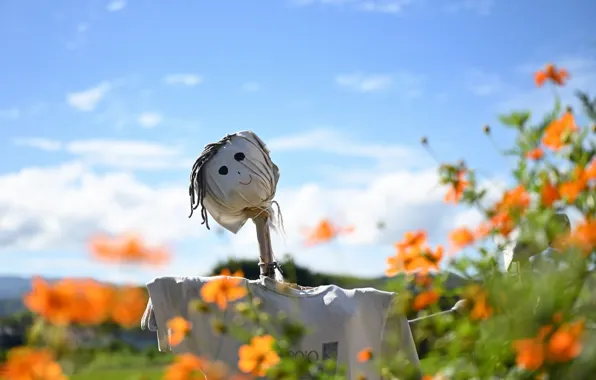 Summer, the sky, clouds, flowers, smile, mood, blue, garden