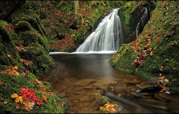 Picture autumn, forest, waterfall, Germany, Germany, Rhineland-Palatinate