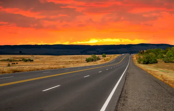 Road, machine, the sun, clouds, sunset, mountains, the way, markup