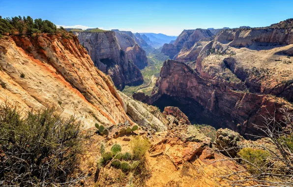 Picture Utah, USA, Zion National Park, Washington, Utah