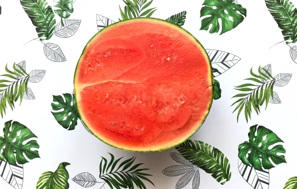 Food, watermelon, berry