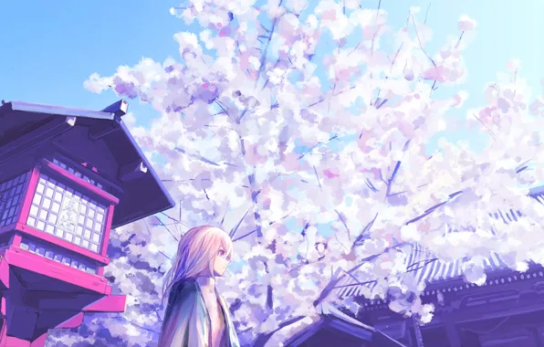 The sky, girl, spring, Sakura, temple