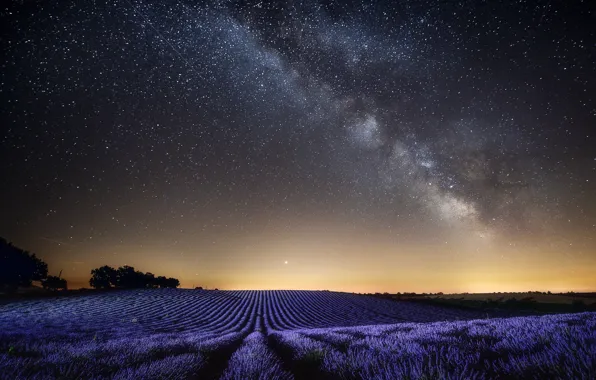 Field, the sky, landscape, night, nature, France, stars, lavender