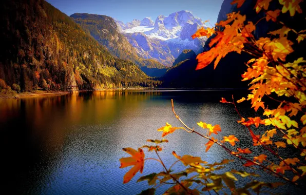 Autumn, leaves, mountains, branches, lake, Austria, Alps, Austria
