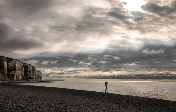Sea, beach, the sky, girl, clouds, stones, rocks, bird