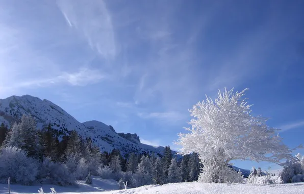 Picture winter, frost, the sky, snow, trees, mountains