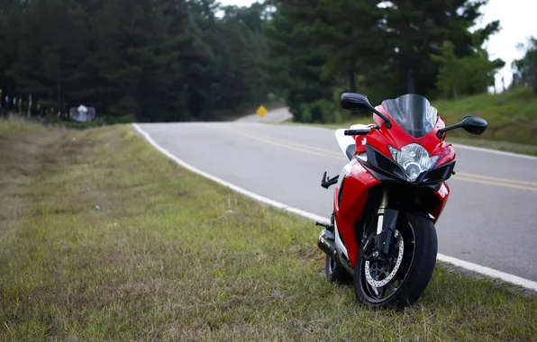 Road, red, motorcycle, red, suzuki, bike, Suzuki, gsx-r600