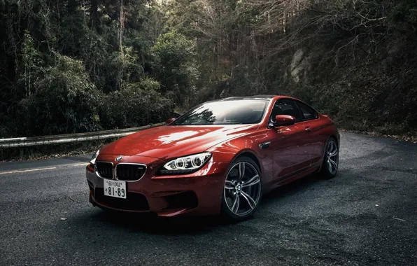 Forest, Machine, Orange, Orange, Coupe, Bmw, Coupe, BMW