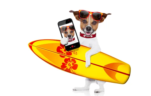 Photo, photoshop, humor, glasses, white background, surfing, Board, smartphone