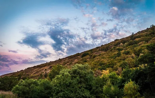 Picture forest, the sky, clouds, mountains, nature, green