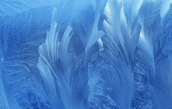 Cold, winter, frost, glass, snow, abstraction, pattern, ice
