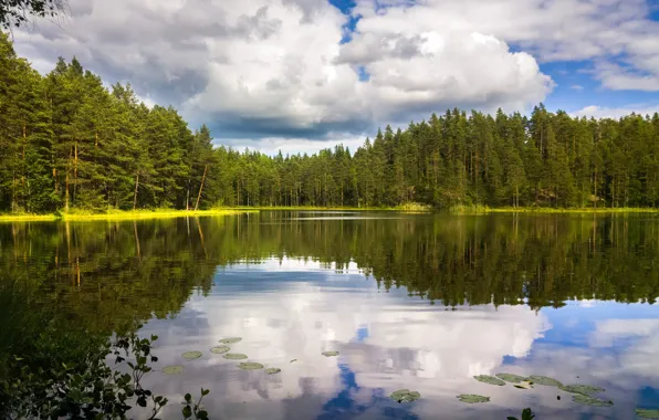 Greens, forest, the sky, water, clouds, trees, lake, reflection