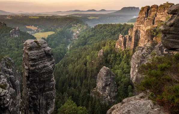 Wallpaper Mountains, Germany, Forest, Park, Saxon Switzerland Park for ...