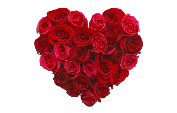 Flowers, heart, roses, love, buds, heart, romantic, roses