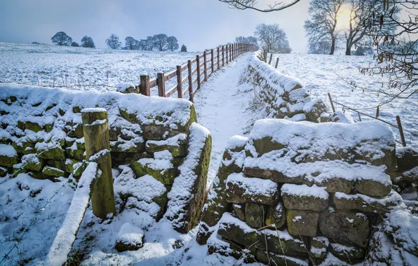 Winter, field, the sun, snow, trees, stones, the fence, UK