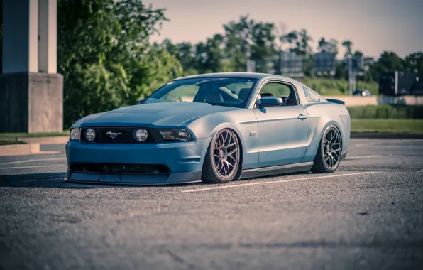 Mustang, Ford, Road, drives, blue, side