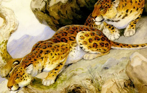 Predators, art, painting, leopards, Georges-Frederic Rotig