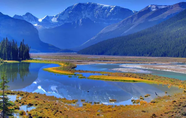 Forest, the sky, grass, water, trees, mountains, river