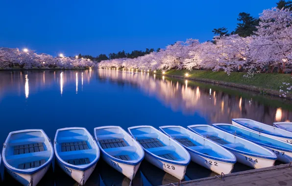 Trees, lights, pond, Park, boat, the evening, Japan, Sakura