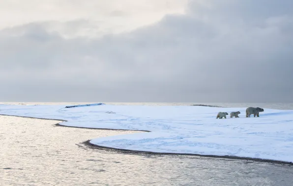 Winter, sea, white, the sky, water, snow, landscape, nature