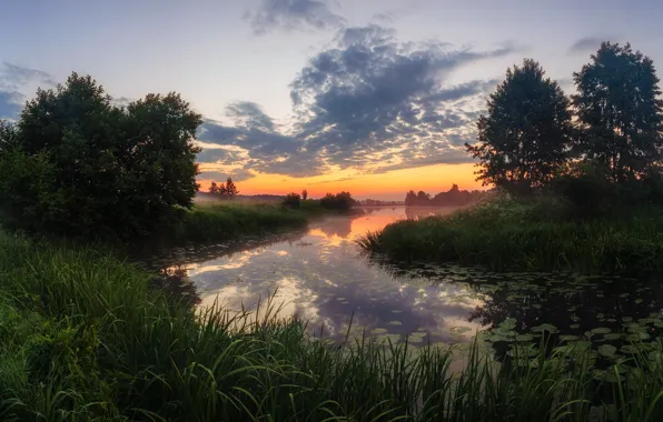 Picture grass, trees, landscape, sunset, nature, river, Bank