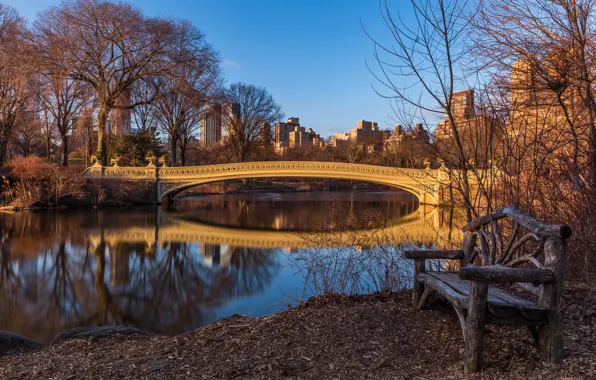 Bridge, nature, the city, building, home, New York, USA, bench