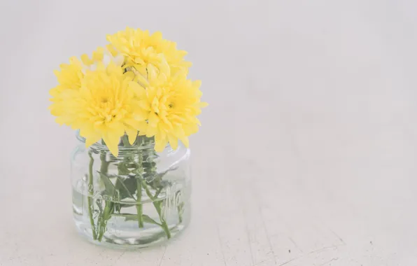 Flowers, yellow, vase, Flower, vase