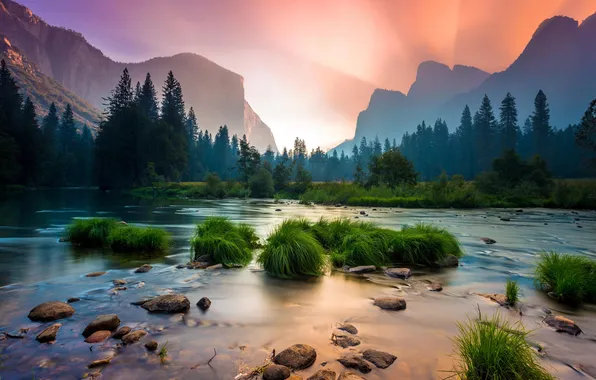 Beauty, Mountains, Horizon, Morning, Pine, Valley, The sun's rays, Morning