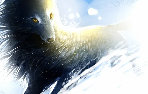 Picture snow, the wind, wolf, art, sparks