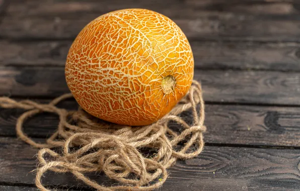 Board, rope, melon
