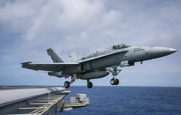 The rise, Super Hornet, carrier-based fighter, FA-18F