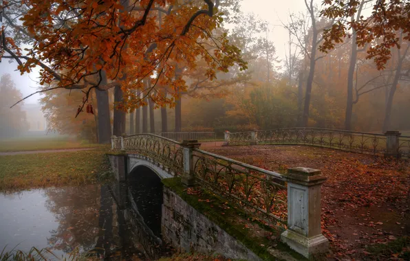 Autumn, trees, bridge, fog, Park, reflection, Gordeev Edward, Saint Petersburg