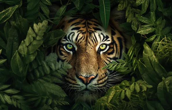Picture portrait, look, neural network, AI art, face, leaves, tiger, thickets