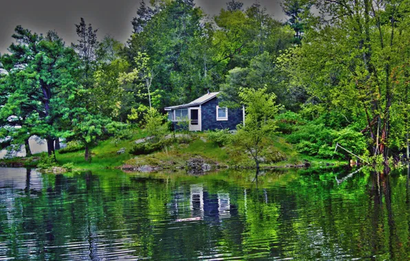 Picture forest, trees, lake, home