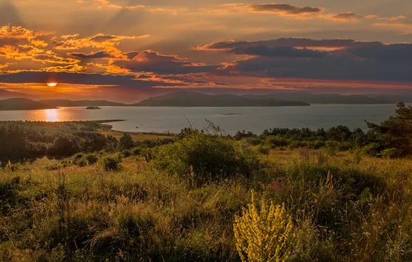 Forest, summer, the sky, grass, water, the sun, clouds, rays
