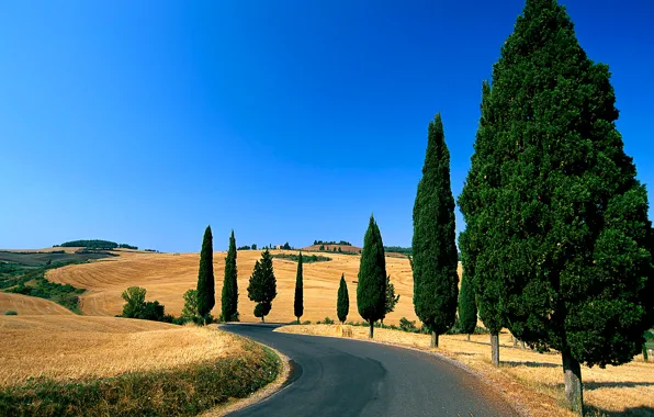 Road, the sky, trees, hills, field, Italy, Tuscany