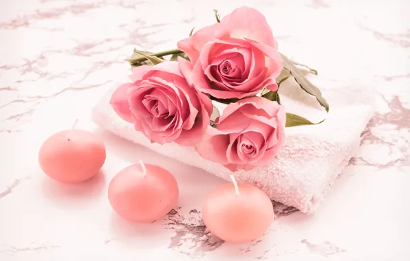 Flowers, table, roses, towel, bouquet, candles, pink, trio