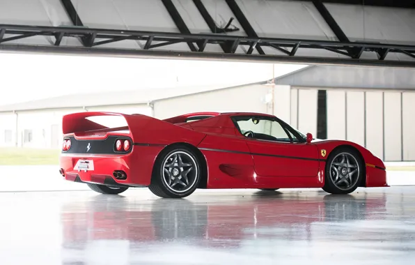 Red, Rear view, Wheels, F50