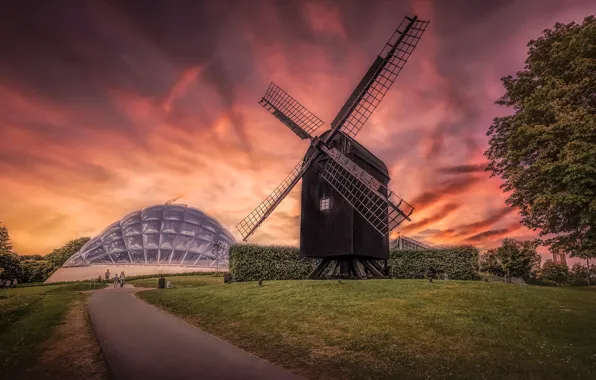 Picture the sky, grass, trees, sunset, Park, lawn, Denmark, mill